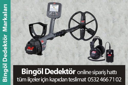 Bingöl Dedektör